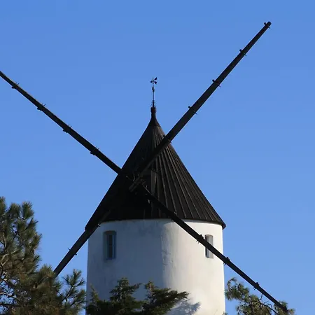 Coquet Independant Entre Foret Et Marais Saint-Hilaire-de-Riez