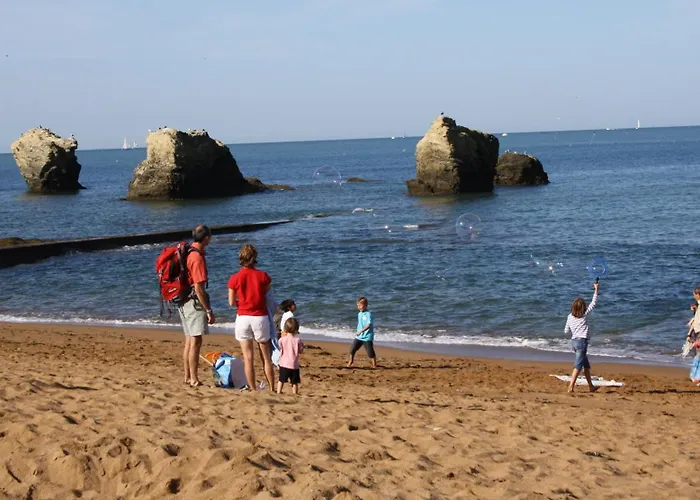 Coquet Independant Entre Foret Et Marais