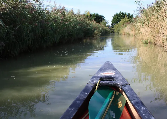 Holiday home Coquet Independant Entre Foret Et Marais
