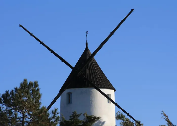 Coquet Independant Entre Foret Et Marais Saint-Hilaire-de-Riez